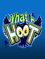 What A Hoot by MICROGAMING